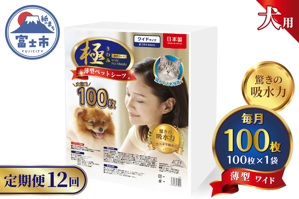 定期便【全12回】【極】シリーズ　犬用ペットシーツ　薄型ワイド　100枚　ペットシート　日本製 [sf077-139]