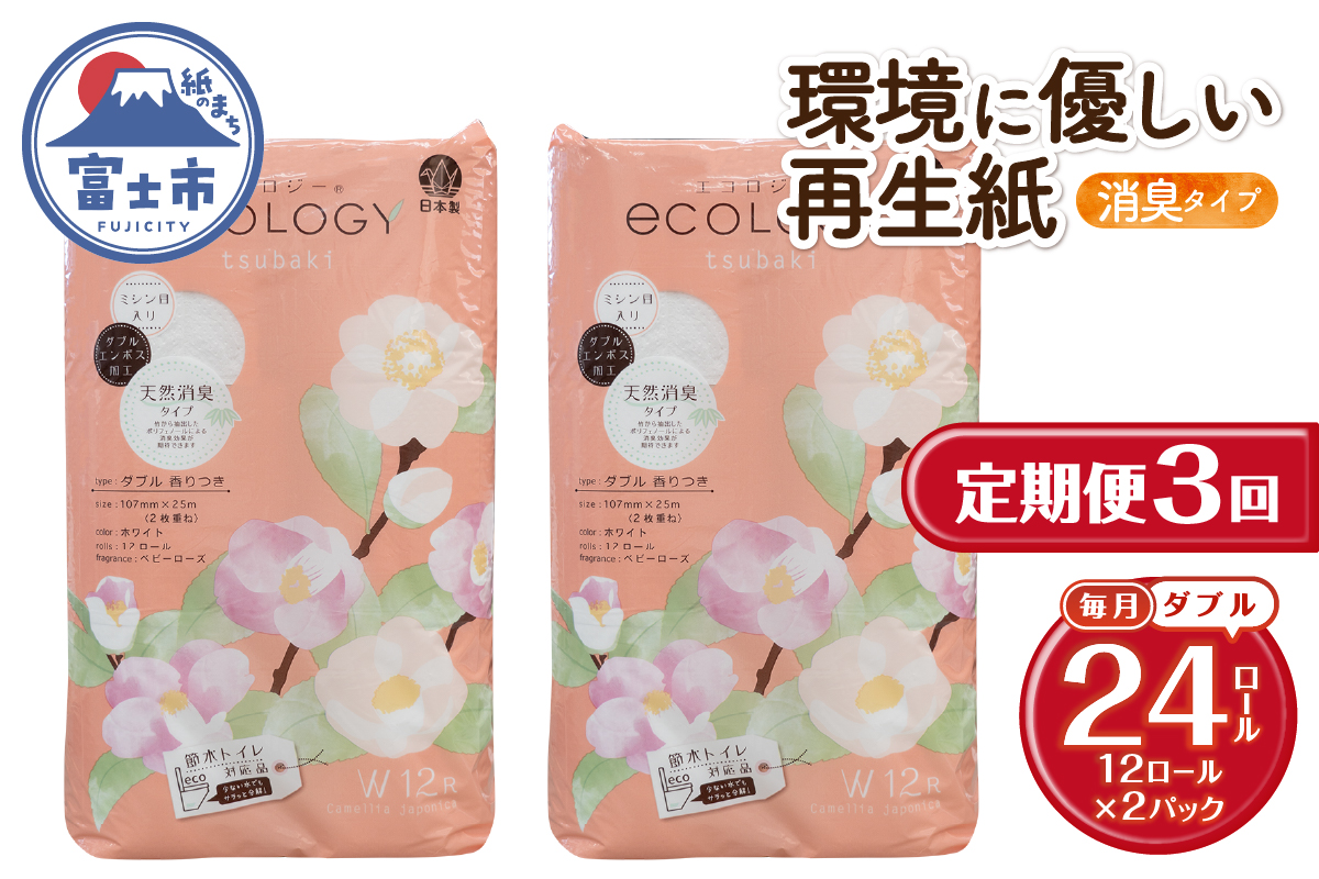 定期便【全3回毎月発送】エコロジートイレットペーパー ダブル12ロール2パック [sf002-491]