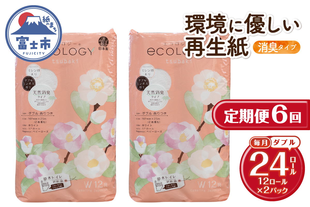 定期便【全6回毎月発送】エコロジートイレットペーパー ダブル12ロール2パック [sf002-504]