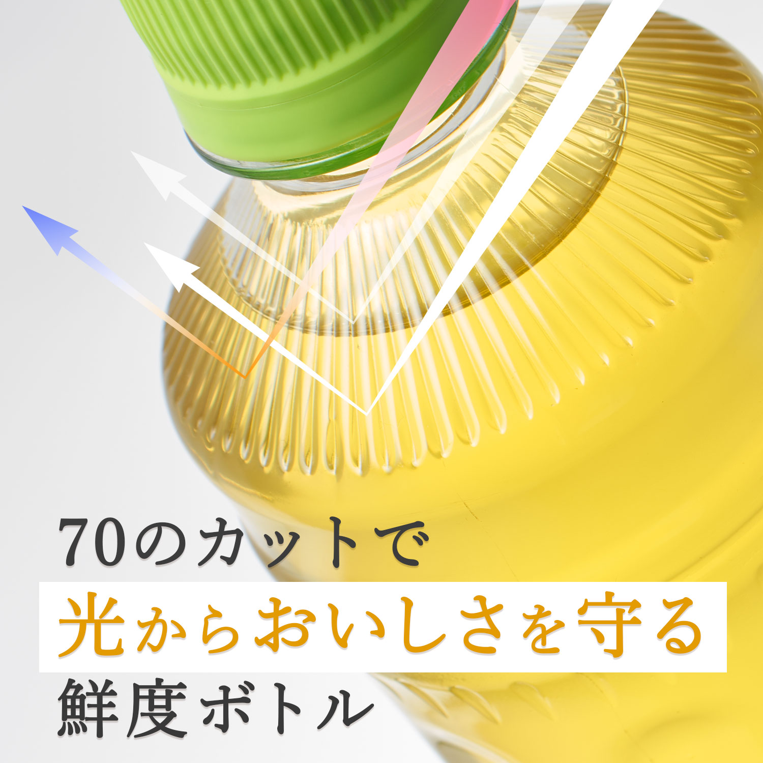 ［定期便６回］お〜いお茶緑茶PEＴ６００ml（1908）