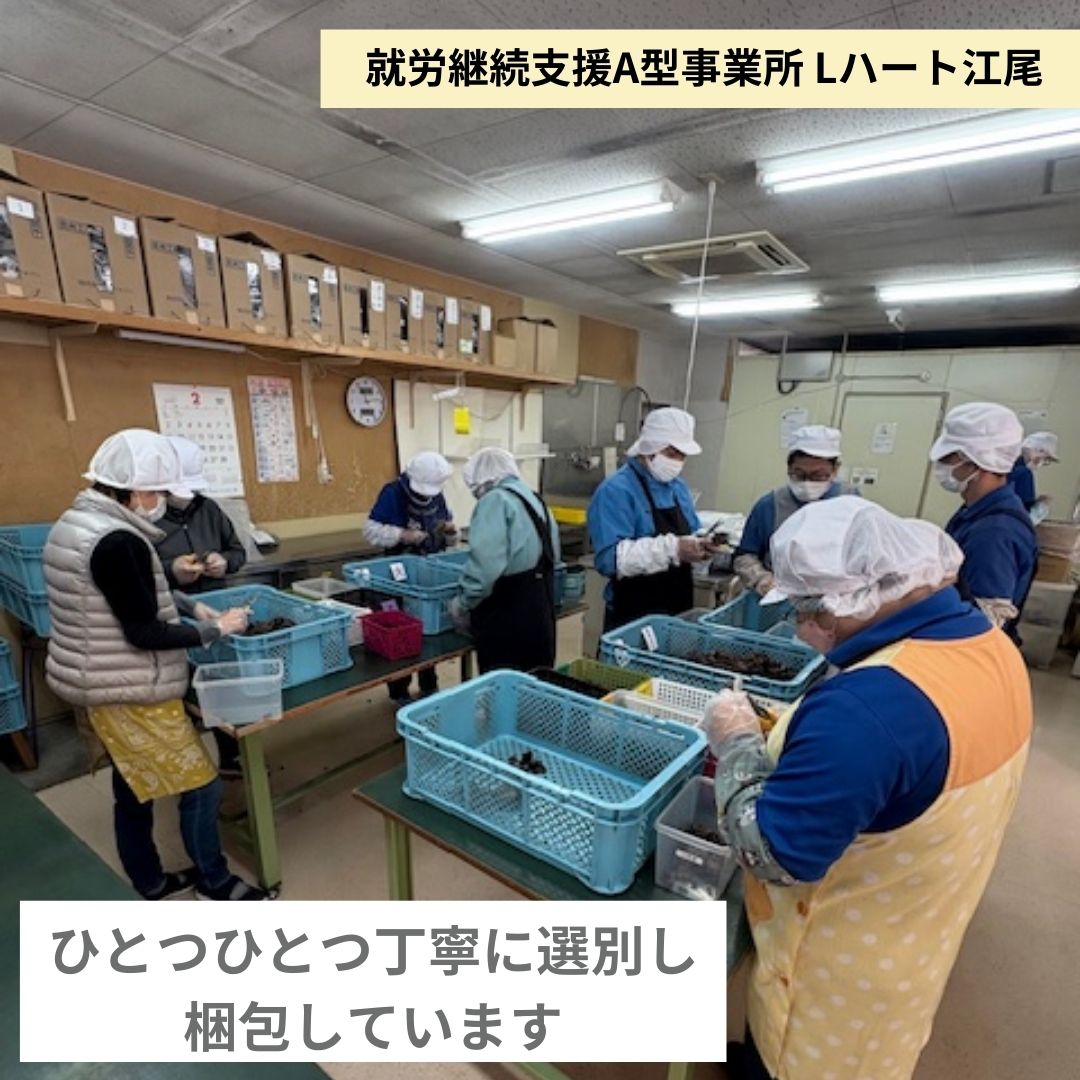 【就労継続支援】富士山乾燥きくらげ 10g×10個入り [sf068-029]