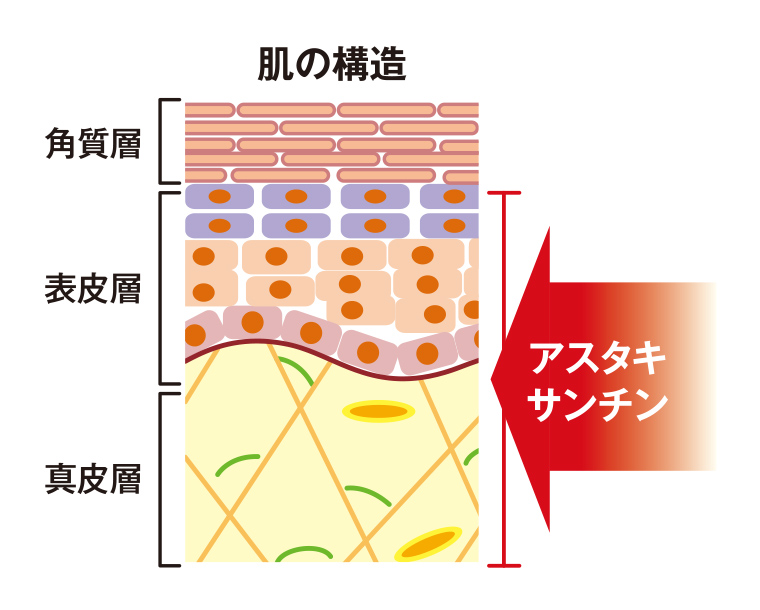 飲むアスタキサンチンAX (約30日分) 60粒 [sf001-380]