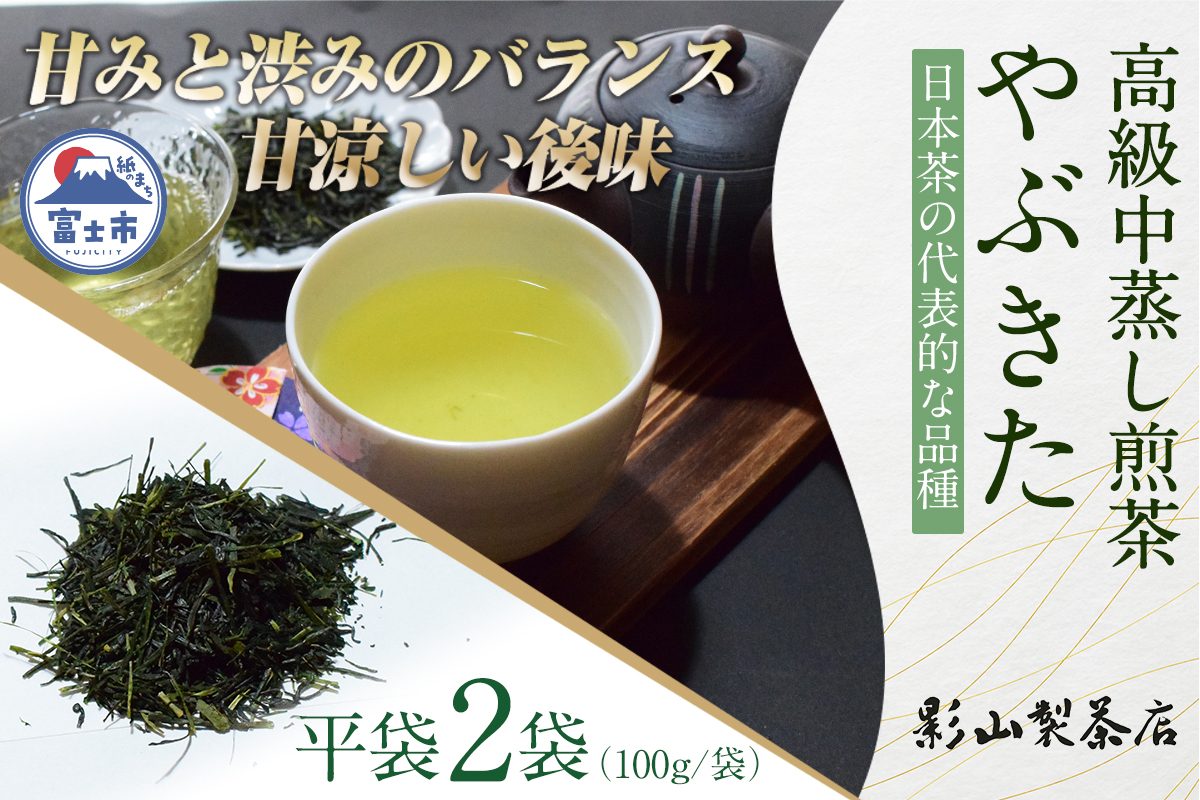 店主が贈り物に薦める逸品。一番摘み高級煎茶「やぶきた」 2袋セット [sf001-281]