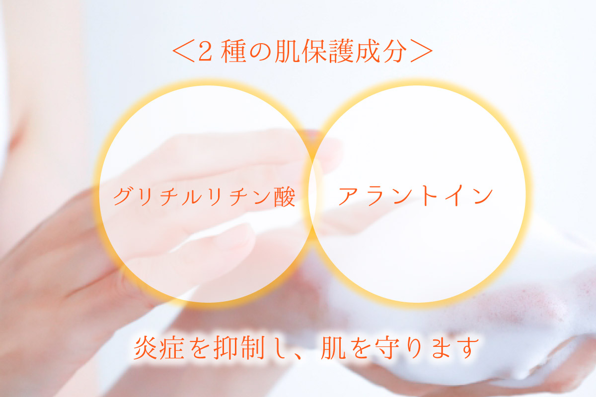 うるおい成分をたっぷり配合！無添加処方の おぷろボディソープⅡ (2個) [sf106-002]