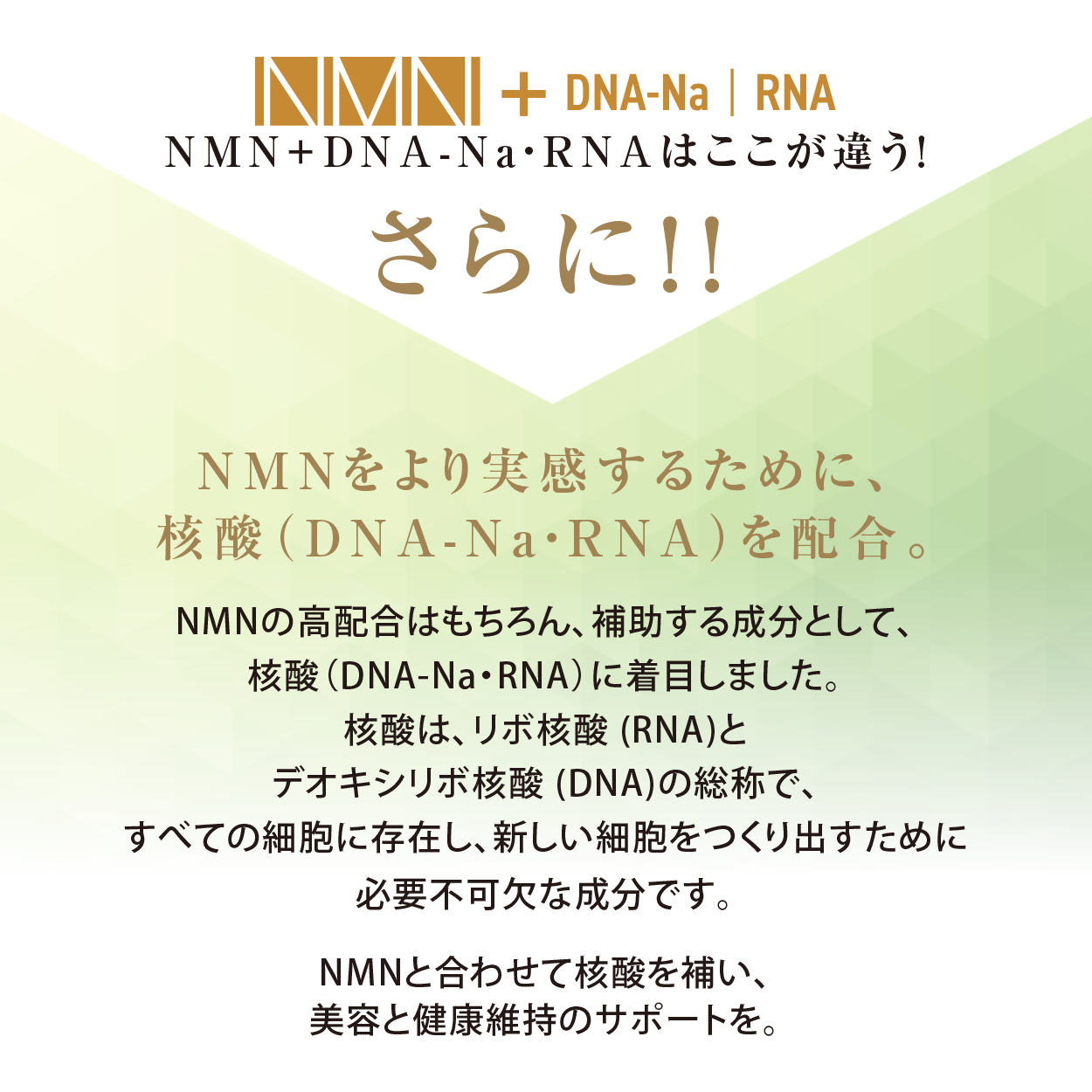 NMN18000+ [sf086-001]