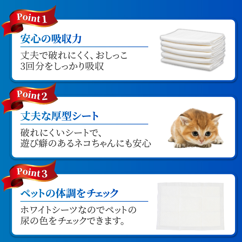 定期便【全12回】【極】シリーズ　猫用ペットシーツ　厚型レギュラー　96枚　システムトイレ用　日本製 [sf077-149]