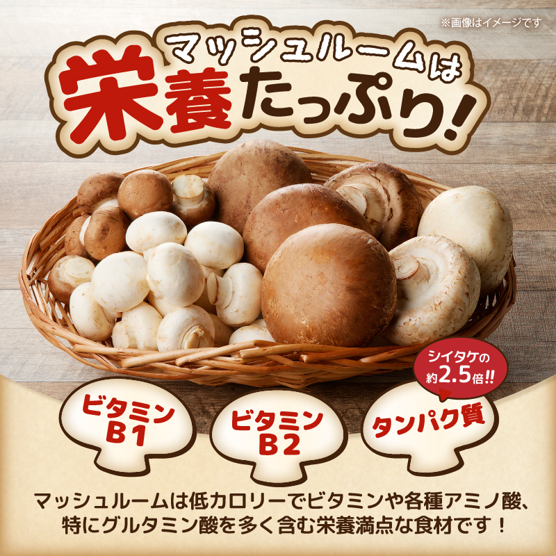 無農薬・無漂白栽培　長谷川農産の美味しいマッシュルームセット 産地直送（1039）