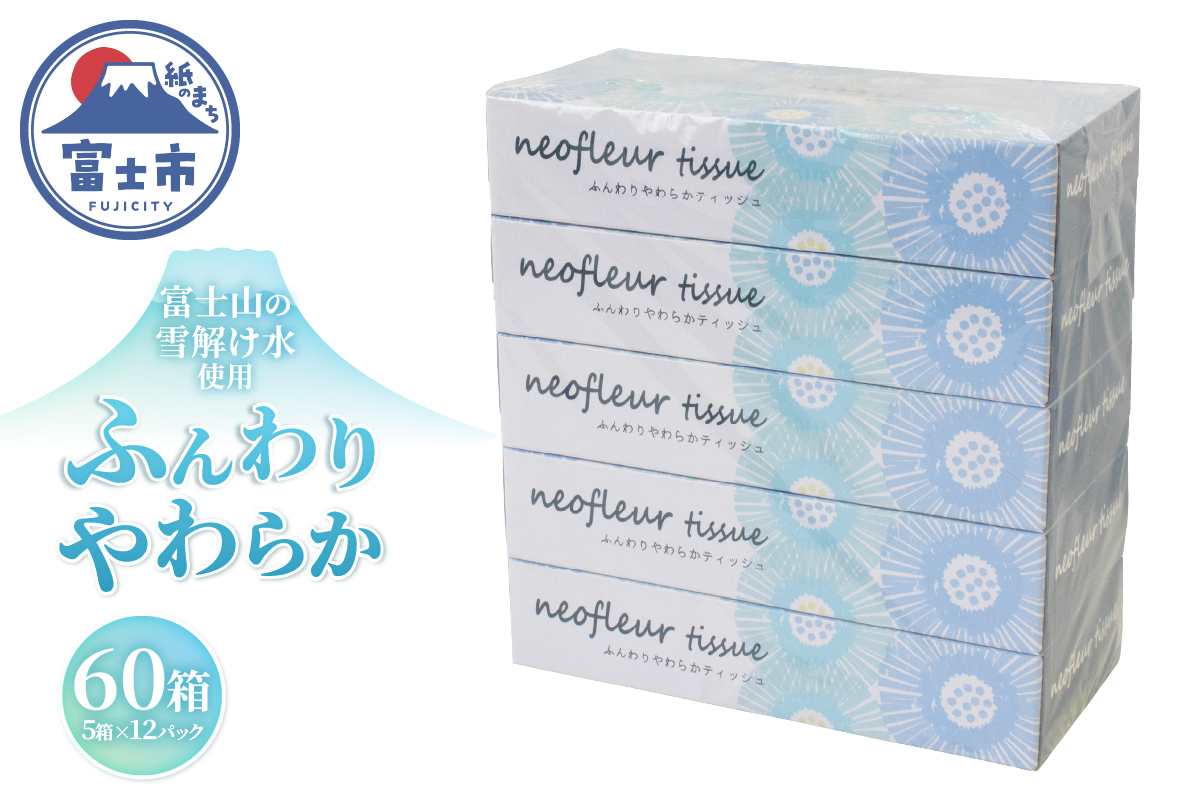 スリムボックスティッシュ 5箱 12パック 日用品 消耗品 備蓄 ティッシュペーパー [sf077-156]