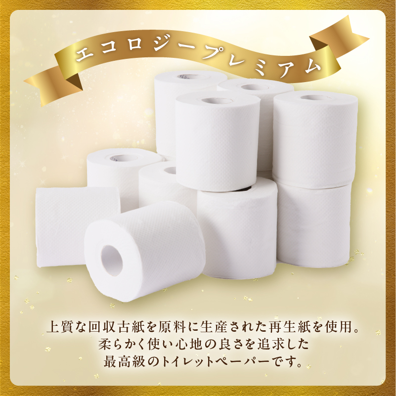 定期便【全3回毎月発送】エコロジープレミアム 12RW25.5トイレットペーパー2パック [sf002-493]
