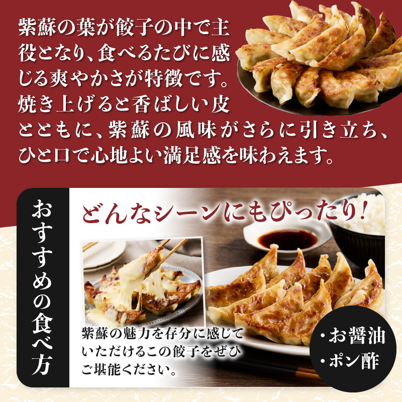紫蘇餃子(20個)とニンニクのスタミナ餃子(20個) [sf001-223]