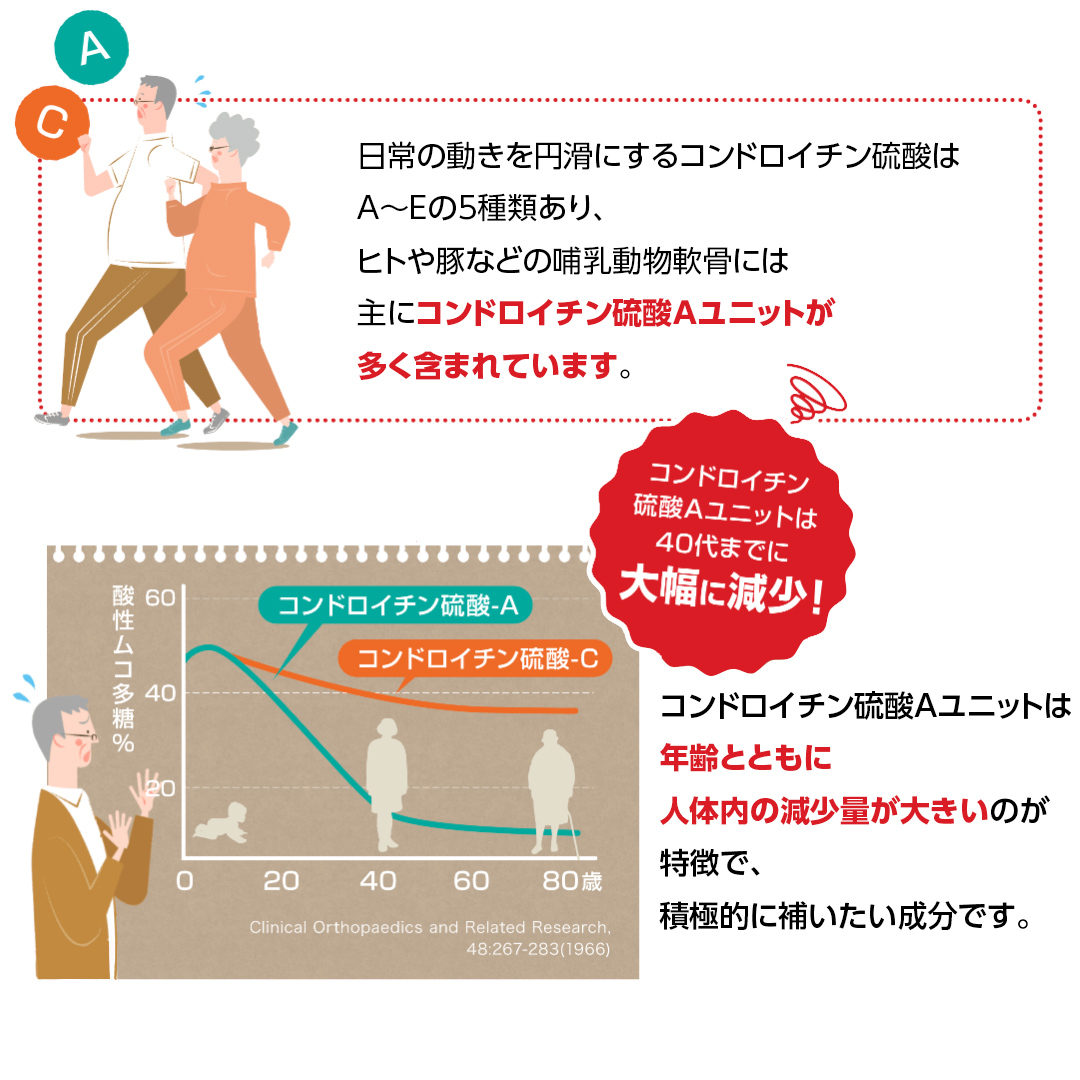 【定期便12カ月】グルコサミンコンドロイチン [sf069-005]