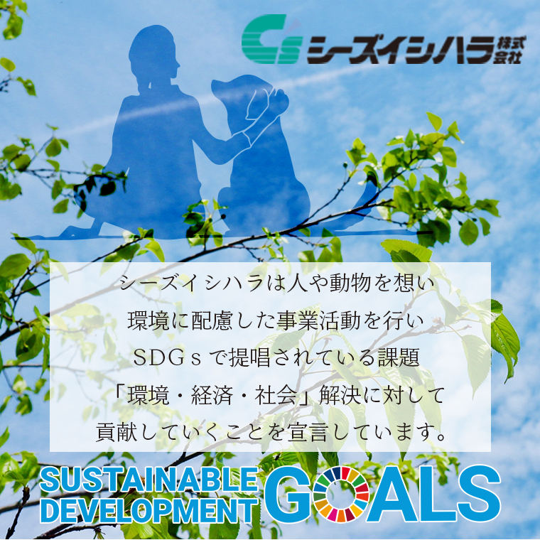 縺薙∪繧√□繝ッ繝ウ 繧ケ繝シ繝代シ繝ッ繧、繝 繝壹ャ繝医す繝シ繝32譫堙4繝代ャ繧ッ縲縺薙∪繧√↓莠、謠 縺縺、繧よク貎(1073)