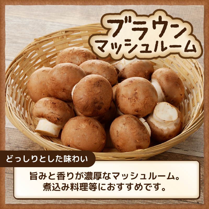 無農薬・無漂白栽培　長谷川農産の美味しいマッシュルームセット 産地直送（1039）