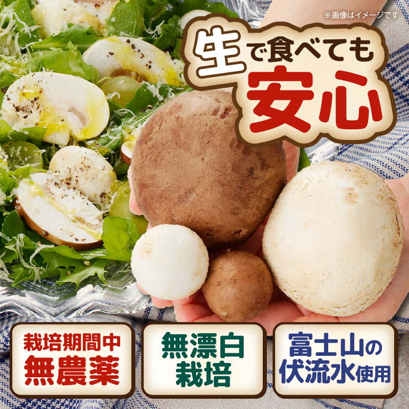 無農薬・無漂白栽培　長谷川農産の美味しいマッシュルームセット 産地直送（1039）