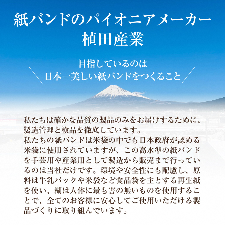 植田産業イチオシ 手芸用紙バンドPapies人気カラー12本合わせ40m×3種 Bセット（1843）