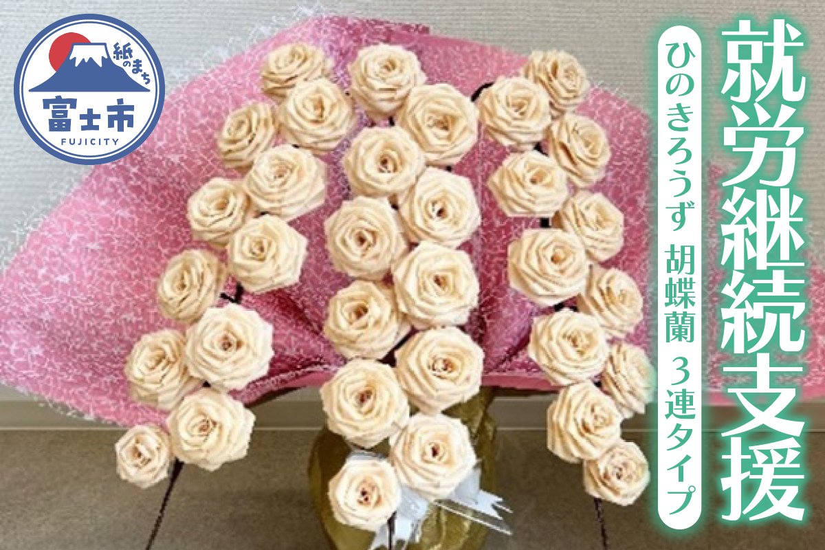 【就労継続支援】ひのきろうず 胡蝶蘭 3連タイプ [sf068-031]