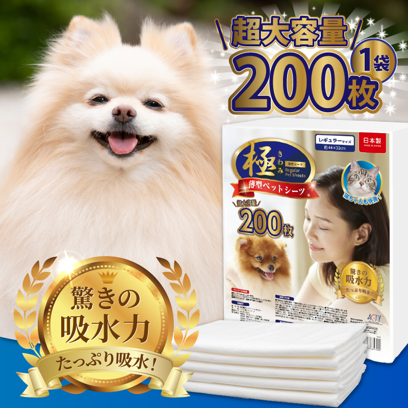 定期便【全12回】【極】シリーズ　犬用ペットシーツ　薄型レギュラー　200枚　ペットシート　日本製 [sf077-137]