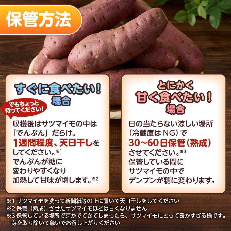 【先行予約】富士美芋 生４.５Kg さつまいも 甘い  期間限定 富士市 やわらか （2007）