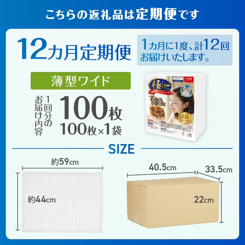 定期便【全12回】【極】シリーズ　犬用ペットシーツ　薄型ワイド　100枚　ペットシート　日本製 [sf077-139]