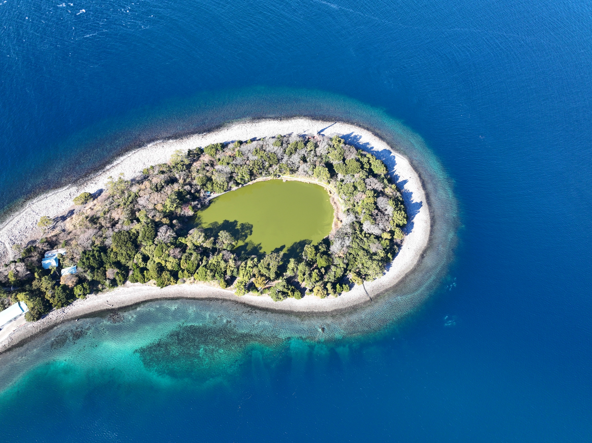 クルージング 大瀬神社コース 体験チケット(10人) [sf001-189]