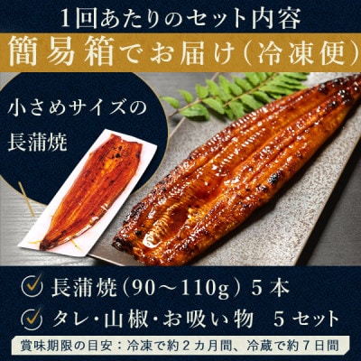 【2ヵ月毎定期便】浜名湖・うなぎのたなかの国産うなぎ長蒲焼5本※1回分450g程度全3回【配送不可地域：離島】【4059968】