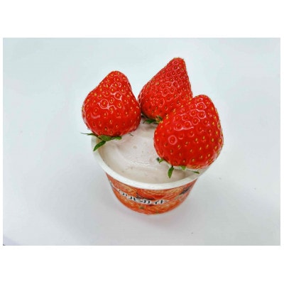 【冷凍いちごの在庫限り!】【いちごアイス6個&冷凍いちご約1kg】【配送不可地域：離島】【1640805】