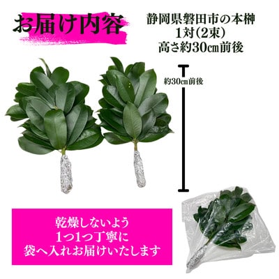 é岡çç£ç£ç°åžãåºäžæŠãæ¬æŠãçŽåœç£ãããã1察(2æ)â»1æ¥äº€æã«éã«åãããã«é
éã1702553ã