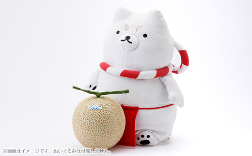 磐田市　アローマメロン　1.2キロ以上　白等級　食べごろ日記載あり　静岡県産　ライオンメロン【1614729】