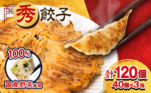 秀餃子 120個(40×3箱)2.4kg 国産野菜と肉の新鮮さにこだわった本気のぎょうざ 国産 冷凍【配送不可地域：離島】【1622598】