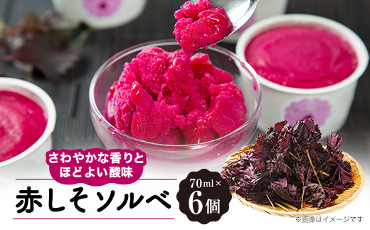赤しそソルベ　70ml×6個入り【配送不可地域：離島】【1575911】