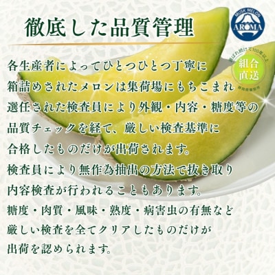 【組合直送】アローマメロン2玉(1玉:約1.3kg)〜静岡が誇る高級マスクメロン〜　9月〜2月【1660354】