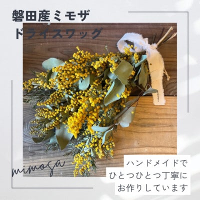 磐田産ミモザのドライスワッグ【1614754】