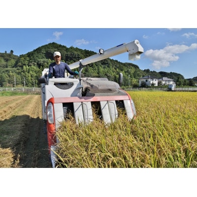 【毎月定期便】静岡こしひかり(精米)5kg×1袋全3回【4076144】