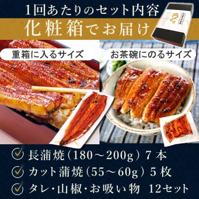 【2ヵ月毎定期便】浜名湖・うなぎのたなかの国産長蒲焼7本、カット小5枚※1回分約1.5kg全3回【配送不可地域：離島】【4059974】