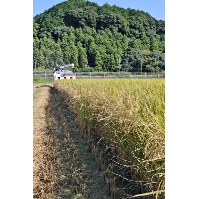 静岡こしひかり 精米 10kg【1680077】