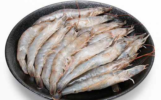 蝨ー逅縺ォ蜆ェ縺励>蝗ス逕」繧ィ繝薙蜀キ蜃阪悟ケク縺医ウ縲160gテ3陲(蜷郁ィ480g)髱吝イ。逵檎」千伐蟶ら肇縲宣埼∽ク榊庄蝨ー蝓滂シ夐屬蟲カ縲代1417712縲