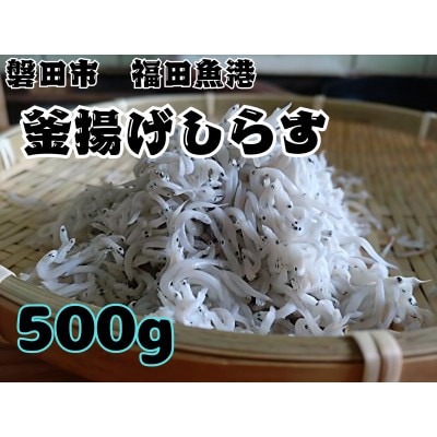 釜揚げしらす 500g 化粧箱入り【配送不可地域：離島】【1677698】