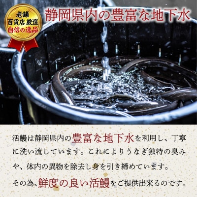 老舗百貨店自信の逸品　静岡県産うなぎの長焼(130g×3パック)・きざみ(90g×1パック)セット【配送不可地域：離島】【1703061】