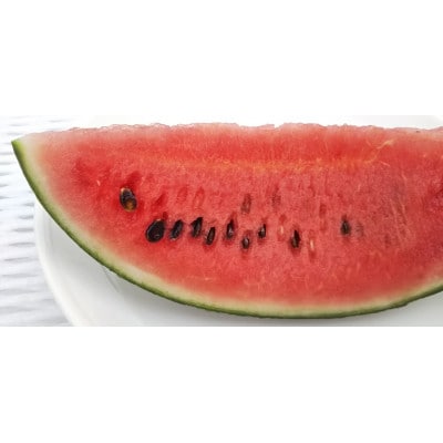 【先行受付/2026年8月上旬より発送】1玉!夏を思いっきり楽しむ!シャリ感抜群!スイカ【ぷちっと】【配送不可地域：離島・北海道・沖縄県】【1685557】