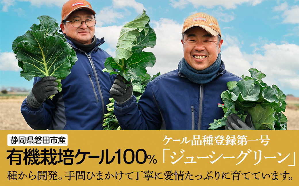 手軽に野菜摂取!【無添加 ケールまるごと100%青汁 原材料 静岡県磐田市産 有機栽培】【1419792】