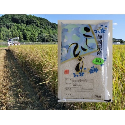 【毎月定期便】静岡こしひかり(精米)5kg×1袋全3回【4076144】