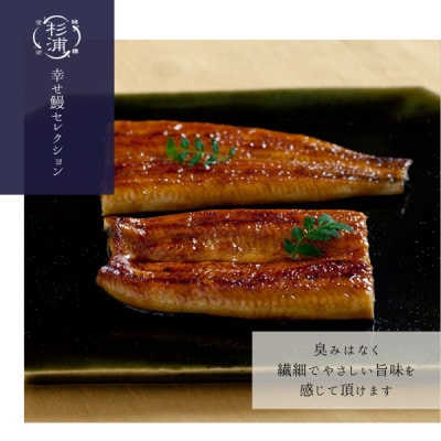 【1本210g以上】遠州杉浦うなぎ 白蒲セット 白焼1本+蒲焼1本(440g-490g)肝白焼+タレ【配送不可地域：離島】【1605194】