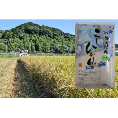 【毎月定期便】静岡こしひかり(精米)10kg×1袋全12回【4076030】