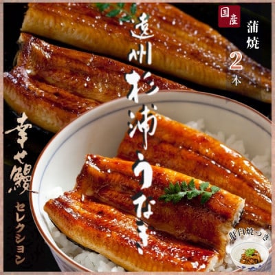【1本230g以上】遠州杉浦うなぎ 蒲焼セット　蒲焼2本(460g-500g)+肝白焼+タレ【配送不可地域：離島】【1604148】