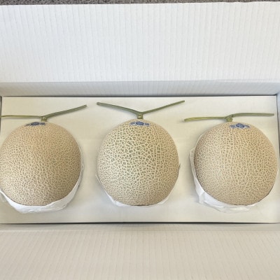 静岡県磐田市 クラウンメロン 山等級 約1.3kg×3個【配送不可地域：離島・北海道・沖縄県】【1640724】