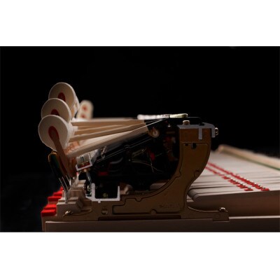 【ピアノ】カワイ KAWAI の新品グランドピアノGX-5A【配送不可地域：離島・沖縄県】【1653321】