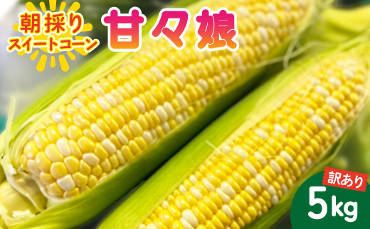 【2026年6月〜7月順次発送】とうもろこし 約5kg 甘々娘(訳あり) 朝採り スイートコーン【配送不可地域：離島・北海道・沖縄県・東北・中国・四国・九州】【1713800】