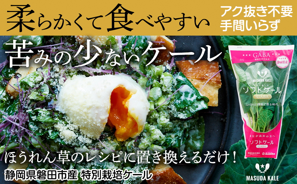 【毎月定期便】やわらかくて食べやすい苦みの少ないケール【静岡県磐田市産 特別栽培】全6回【配送不可地域：離島】【4003775】