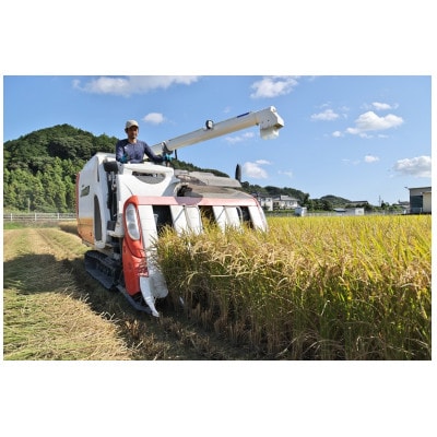 【毎月定期便】静岡こしひかり(精米)5kg×1袋全12回【4076145】