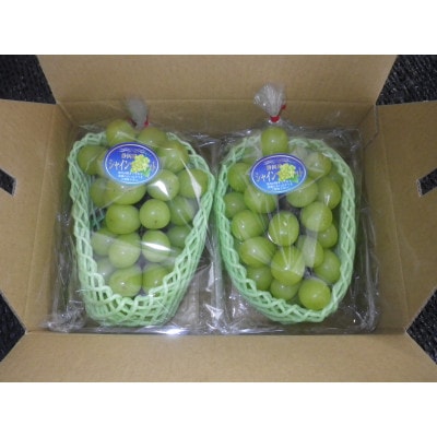 【先行受付】【150口限定】シャインマスカット　2房(2026年9月上旬〜中旬発送予定)【配送不可地域：離島】【1697171】